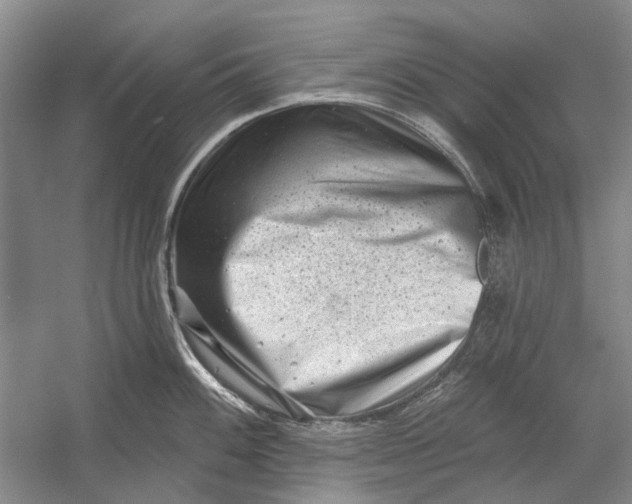 X0000054361100200508191813