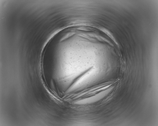 X0000054361101200508191813