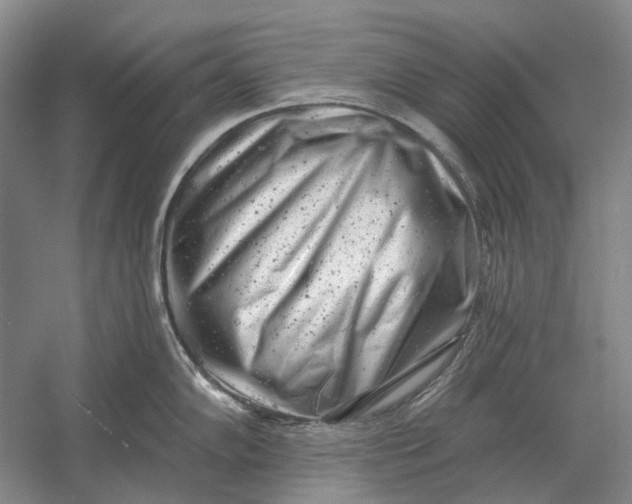 X0000054361102200508191813