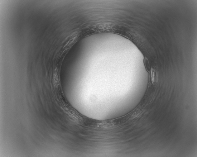 X0000054361107200508191812