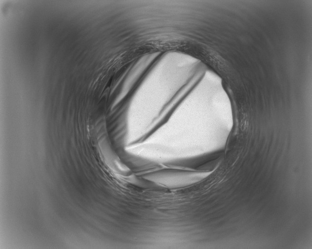 X0000054361108200508191812