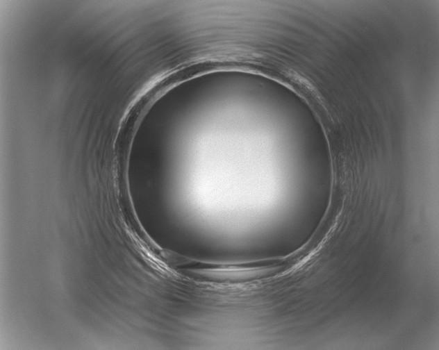 X0000054361114200508191812