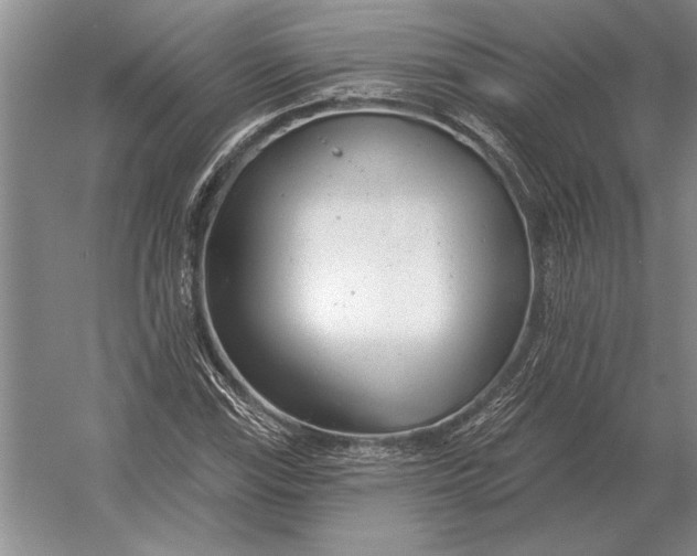 X0000054361115200508191812