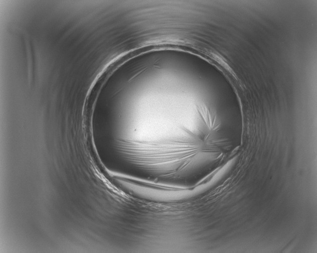 X0000054361116200508191812