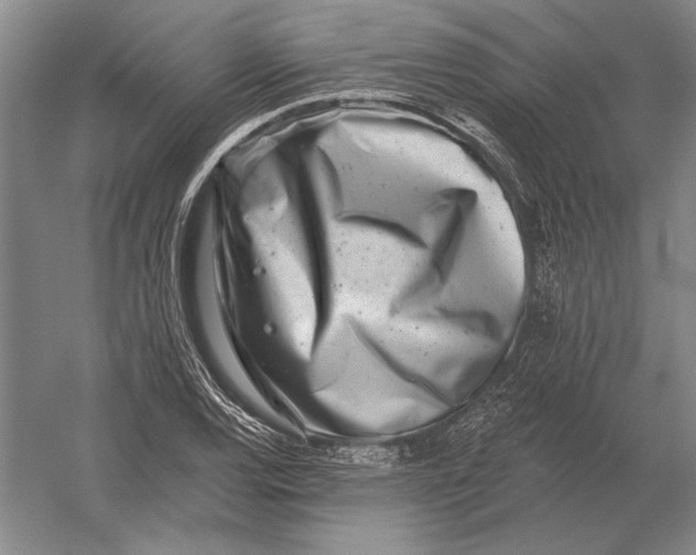 X0000054361120200508191812