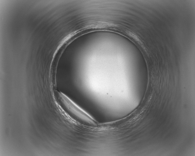 X0000054361122200508191812