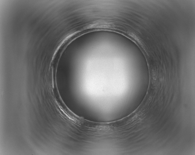 X0000054361123200508191812