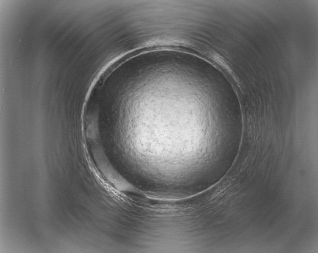 X0000054361124200508191812