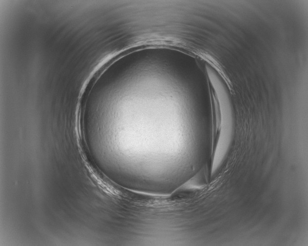 X0000054361128200508191812