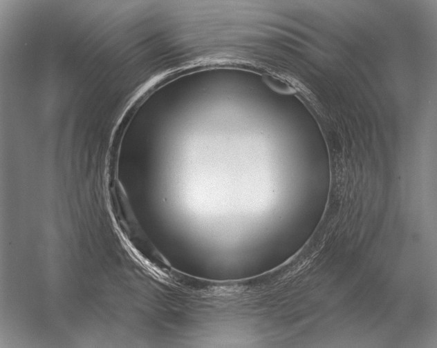 X0000054361134200508191812