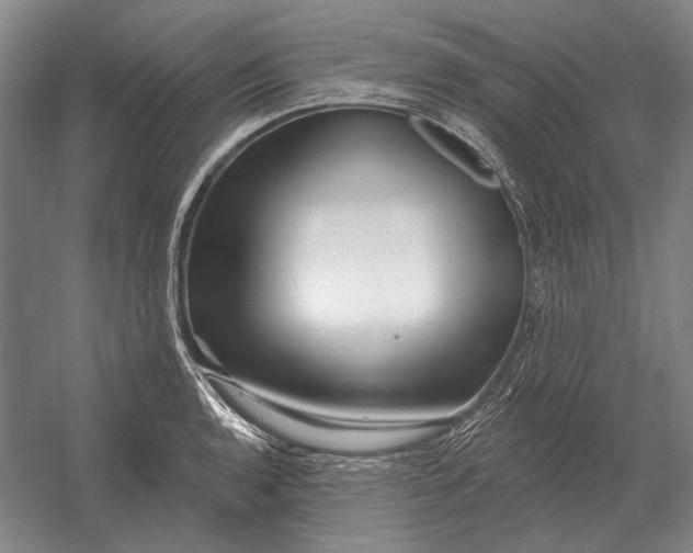 X0000054361136200508191812