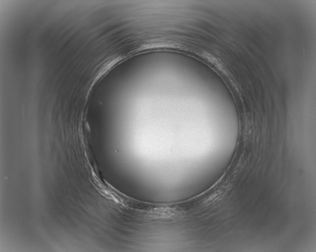 X0000054361137200508191812