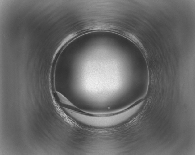 X0000054361138200508191812