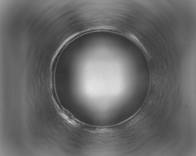 X0000054361140200508191813