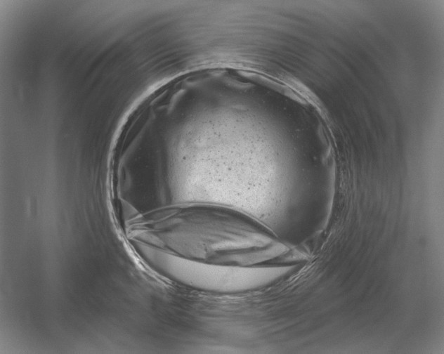X0000054361144200508191813