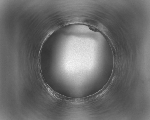X0000054361145200508191813