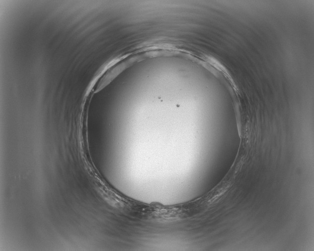 X0000054361146200508191813