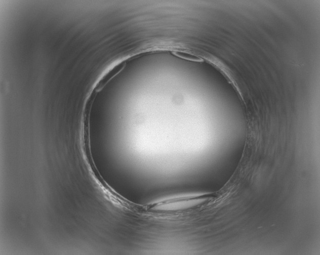 X0000054361147200508191813