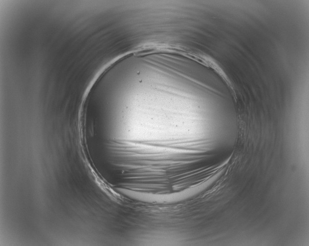 X0000054361148200508191813