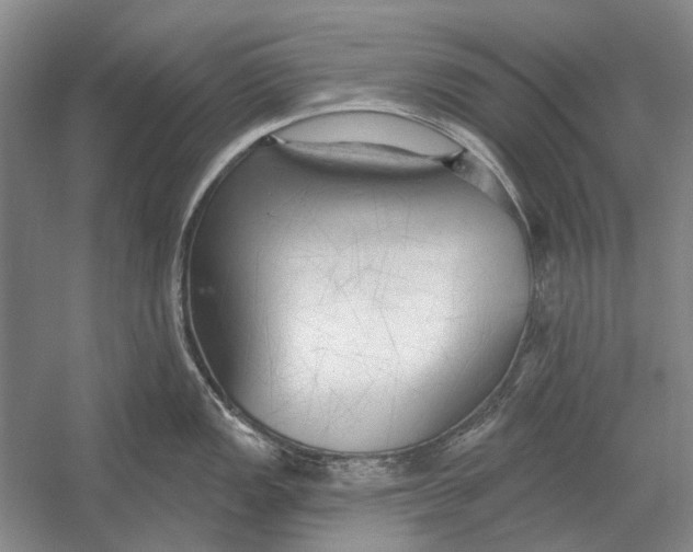 X0000054361149200508191813
