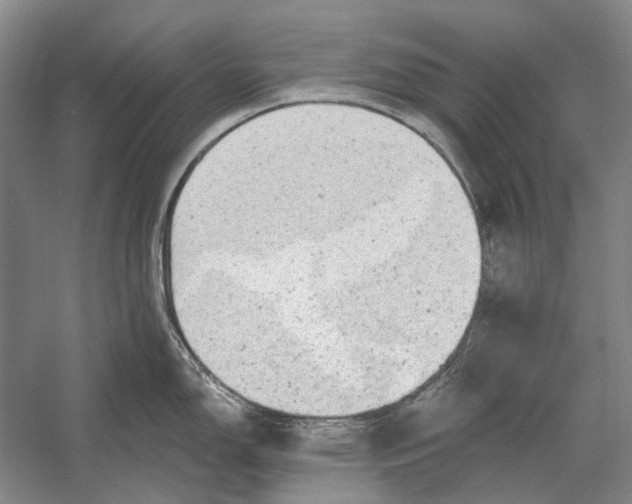 X0000054361150200508191813