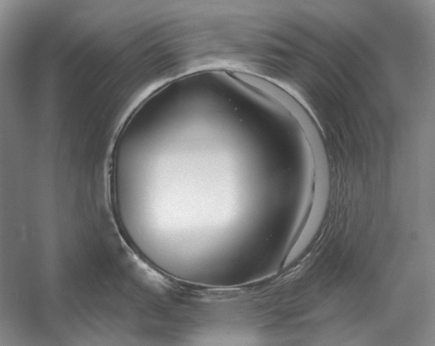 X0000054361151200508191813