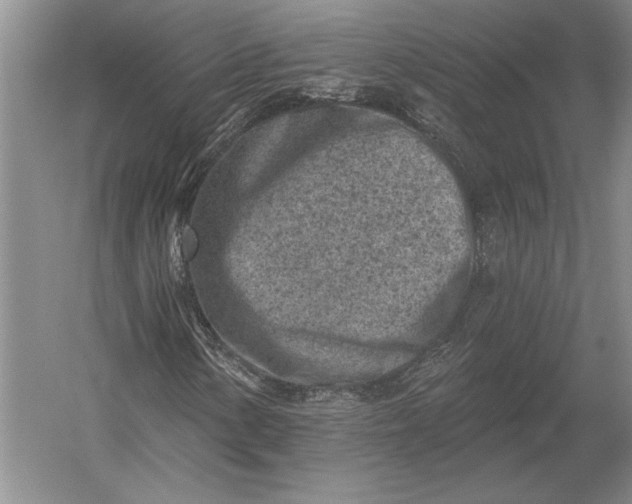 X0000054361154200508191812