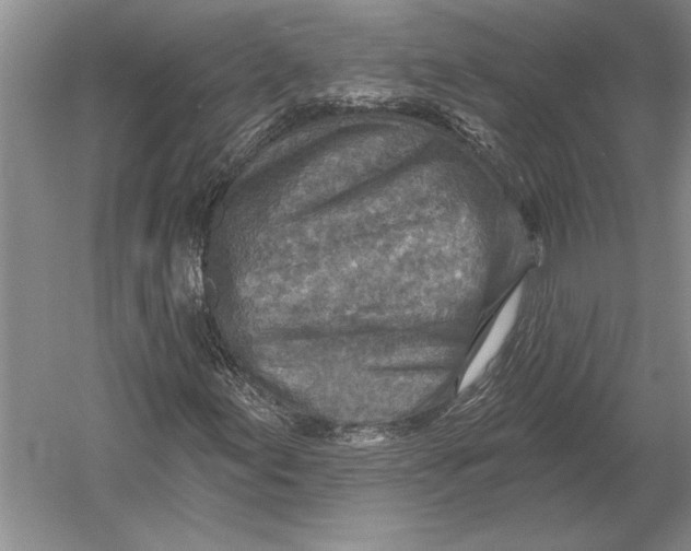 X0000054361155200508191812