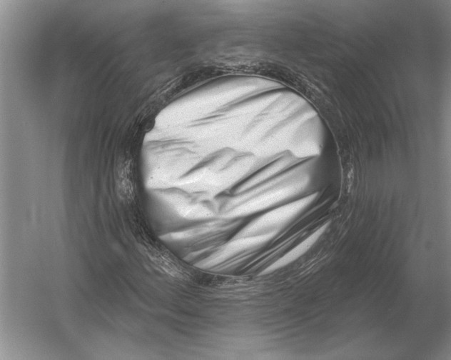 X0000054361156200508191812