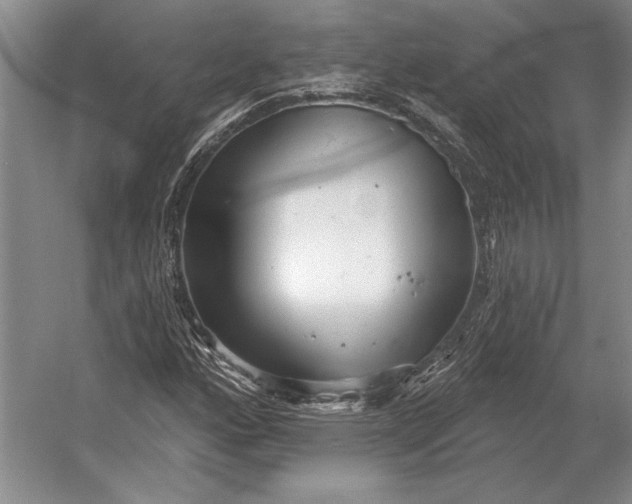 X0000054361160200508191812