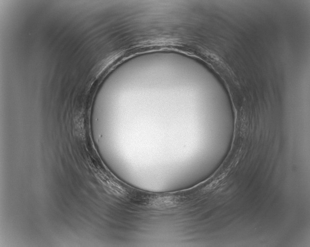 X0000054361162200508191812
