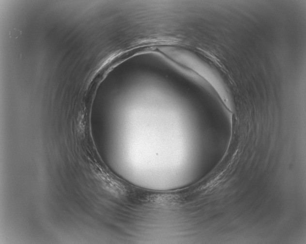 X0000054361163200508191812