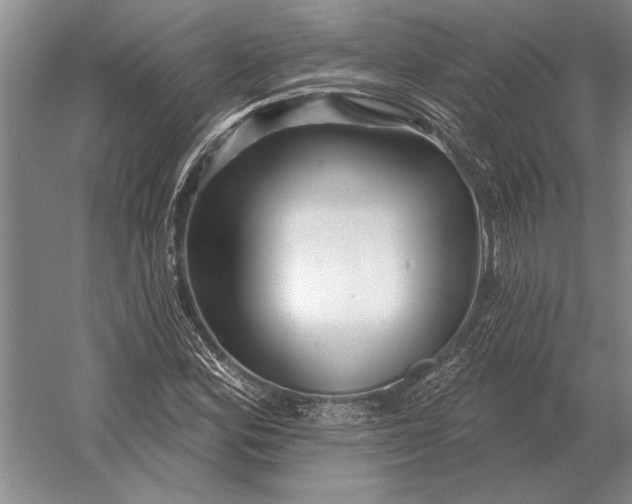 X0000054361164200508191812