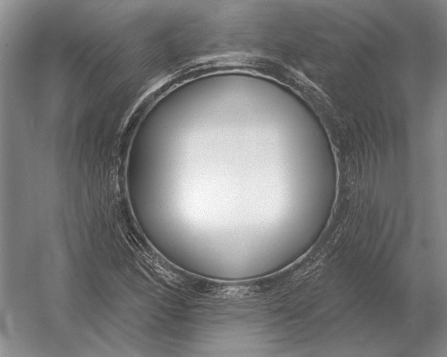 X0000054361166200508191812