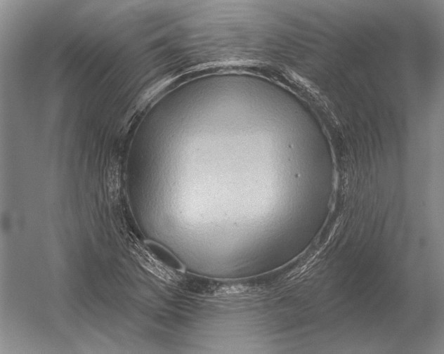 X0000054361169200508191812