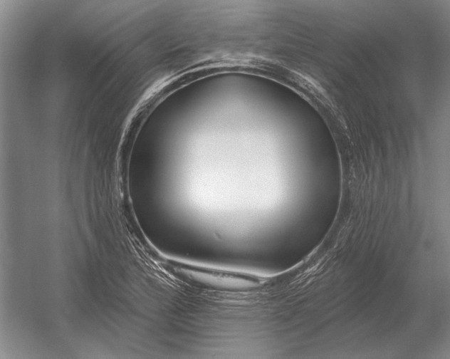 X0000054361172200508191812