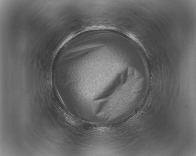 X0000054361173200508191812