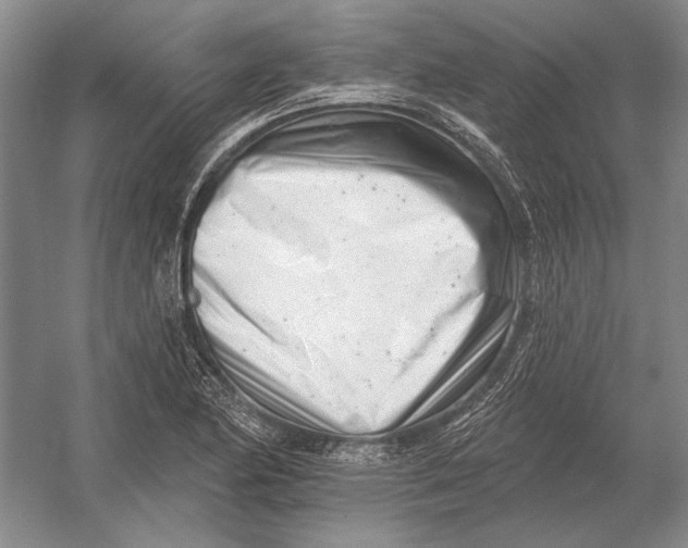 X0000054361174200508191812