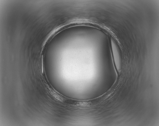 X0000054361175200508191812