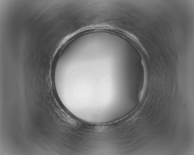 X0000054361176200508191811