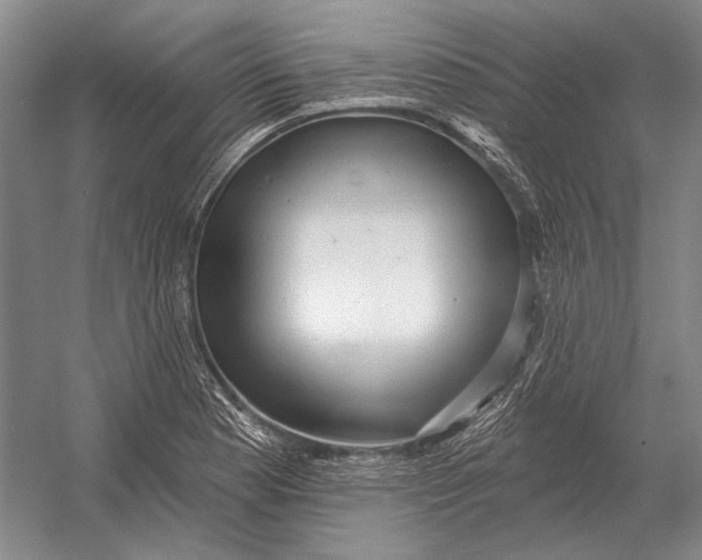 X0000054361177200508191811