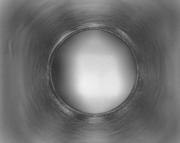 X0000054361178200508191811