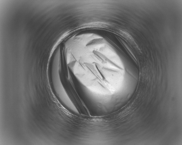 X0000054361180200508191811