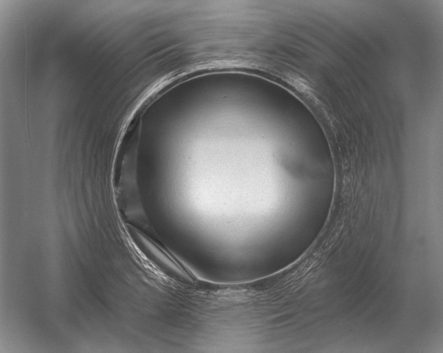 X0000054361181200508191811