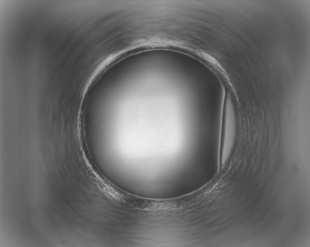 X0000054361183200508191811
