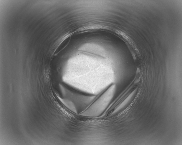 X0000054361185200508191811