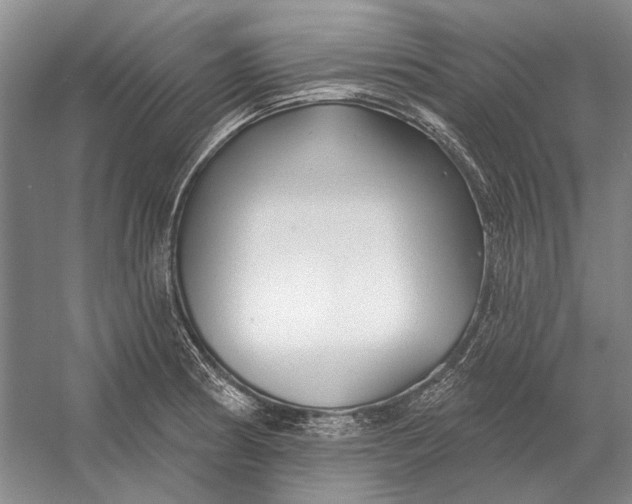 X0000054361186200508191811