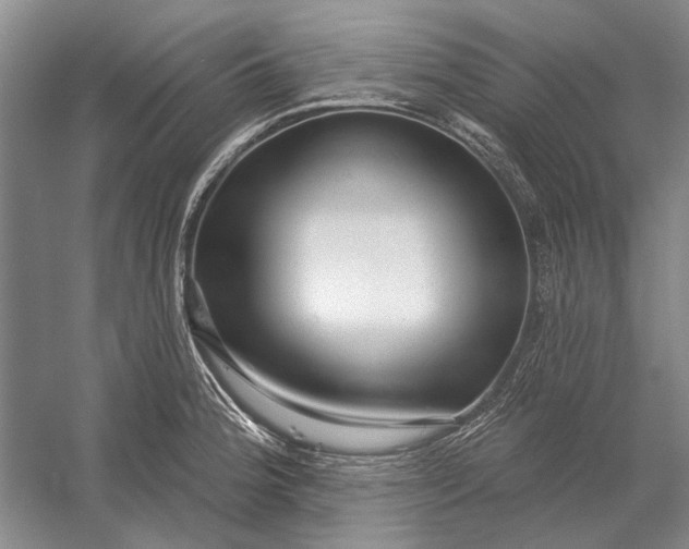 X0000054361188200508191811