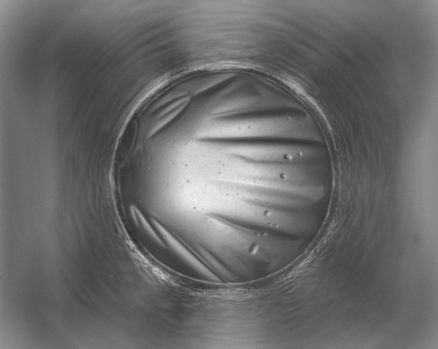 X0000054361189200508191811