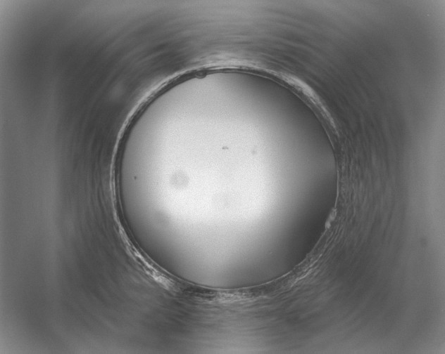 X0000054361191200508191811
